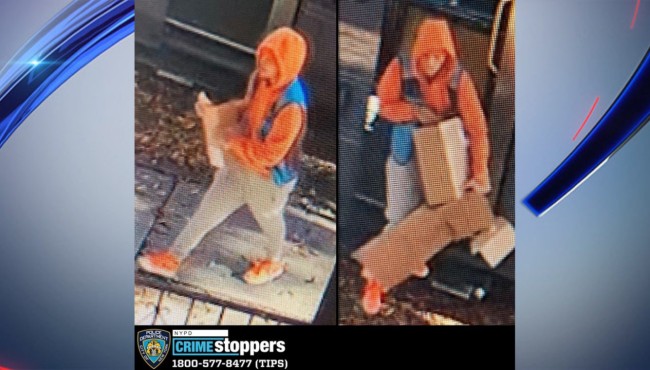 Amazon driver swipes packages from Borough Park home, video
shows