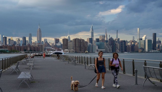 Manhattan dog owners on high alert after rat poison
allegedly kills three dogs