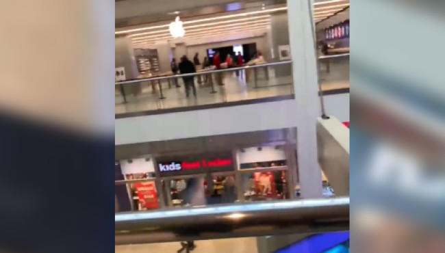 Teen punches Apple Store security guard in the face inside
Queens mall: NYPD