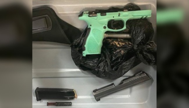 Disassembled gun found in carry-on bags at Newark airport:
TSA