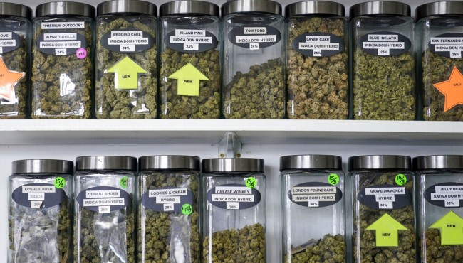 NY approves 1st marijuana dispensary licenses